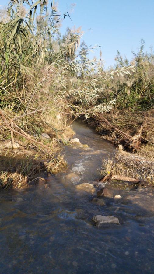 Appartamento בין הר למעיין Kfar Tavor Esterno foto