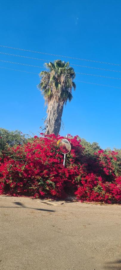 Appartamento בין הר למעיין Kfar Tavor Esterno foto